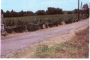 2002/2003 vestiges d'une ancienne voie romaine