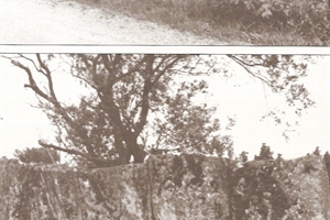 vestiges de la voie aggrippa