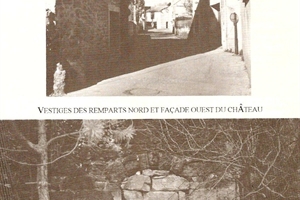 1987   vestiges du chateau papal