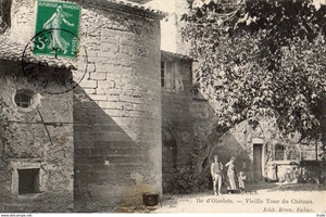 Chateau de l'Ile de l'Oiselet
