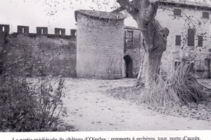 Château de l'Oiselet