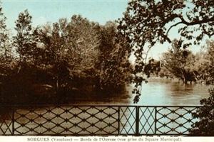 Sorgues  Bord de l'Ouvéze