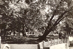 Parc du Château St Hubert