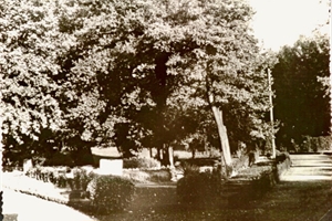 Parc du Château St Hubert