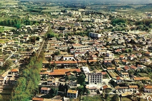 1975  Vue Générale sur  N 7 avec les platanes  et la cité