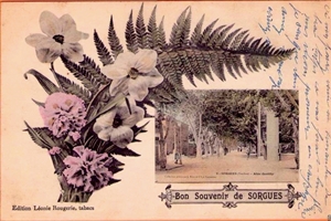 Sorgues
