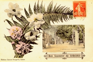 Sorgues