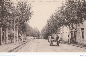 Avenue d'Avignon