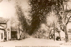 avenue d avignon