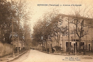 Sorgues -Avenue d'Avignon