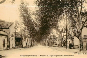 Avenue d'Avignon