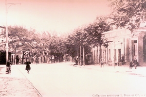 route d'avignon (entrée de sorgues)