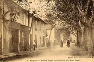 Sorgues Avenue Floret