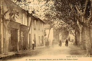 Sorgues Avenue Floret