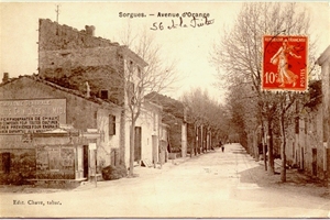 avenue d'orange