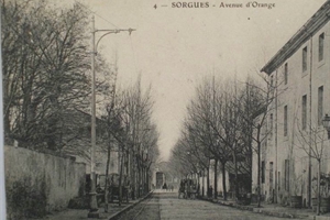 Avenue d'Orange