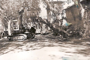 1974 Avenue Gentilly