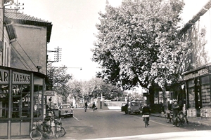 cours de la republique a sorgues