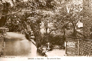 vue prise du cours de la république  (la sorgue)