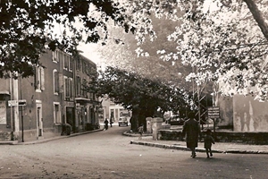 (magasin chevalier,bazar russe) 1965