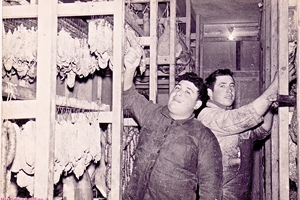 Années 1950 / "Salaisons Achard" Rte d'Avignon