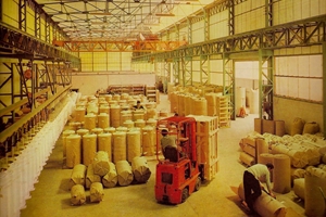 1961