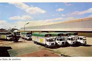 1969