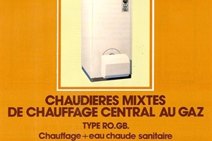 1981