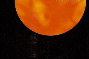 1981