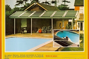 1981