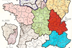 1981