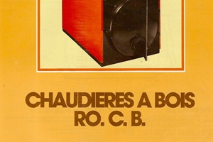 1981
