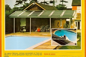 1981