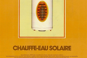 1981