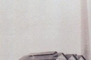 1915/1918/2017 (38) PNS
