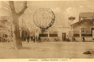 PNS