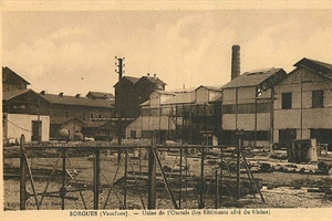 L'Oseraie