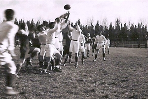 rugby
