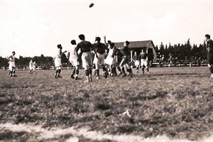 rugby
