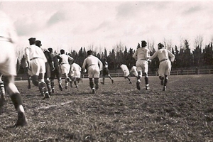 rugby