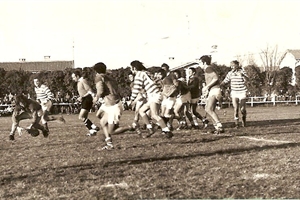 rugby