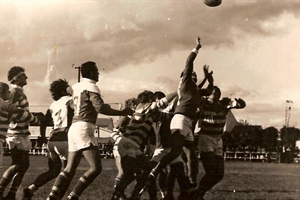 rugby