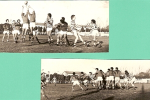 rugby