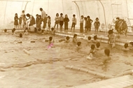 1976 natation