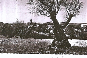 1920 vue sur l'église
