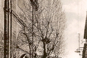 entrée de l'église