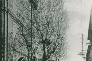 Quartier de l'église