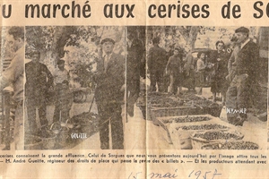 15 05 1957 marché aux cerises sorgues