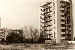 1966 l'oiselet de l'ouvèze