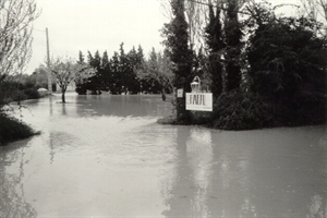 1951